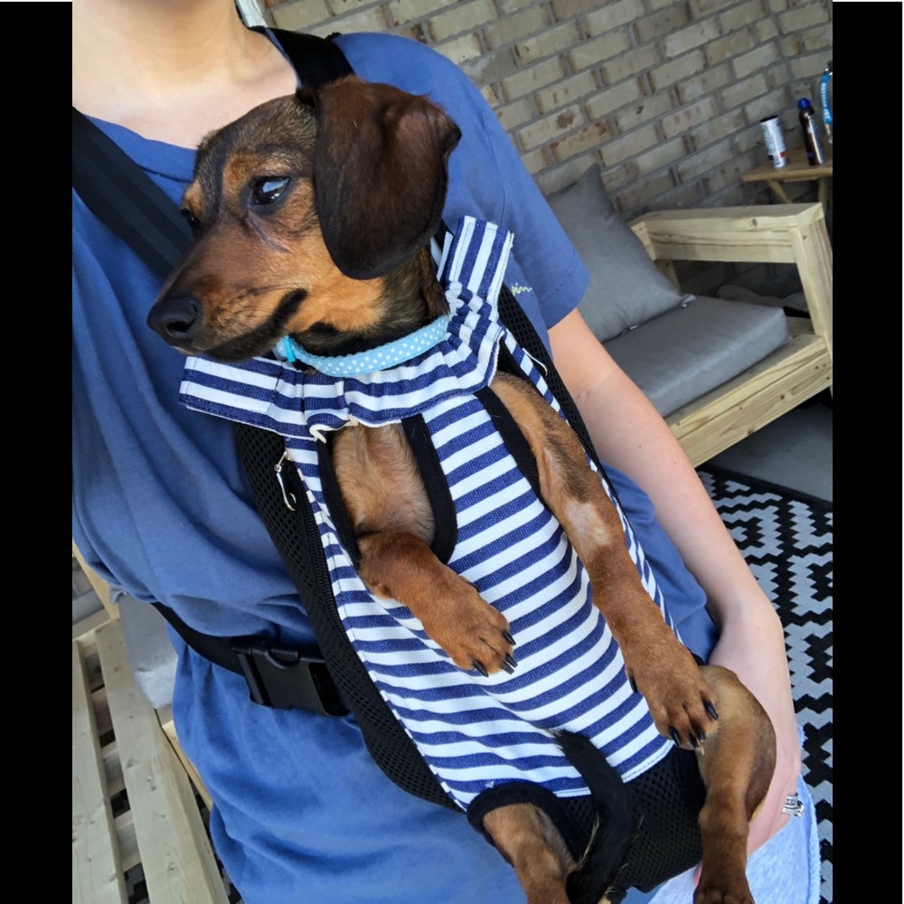 Whizzotech dog carrier